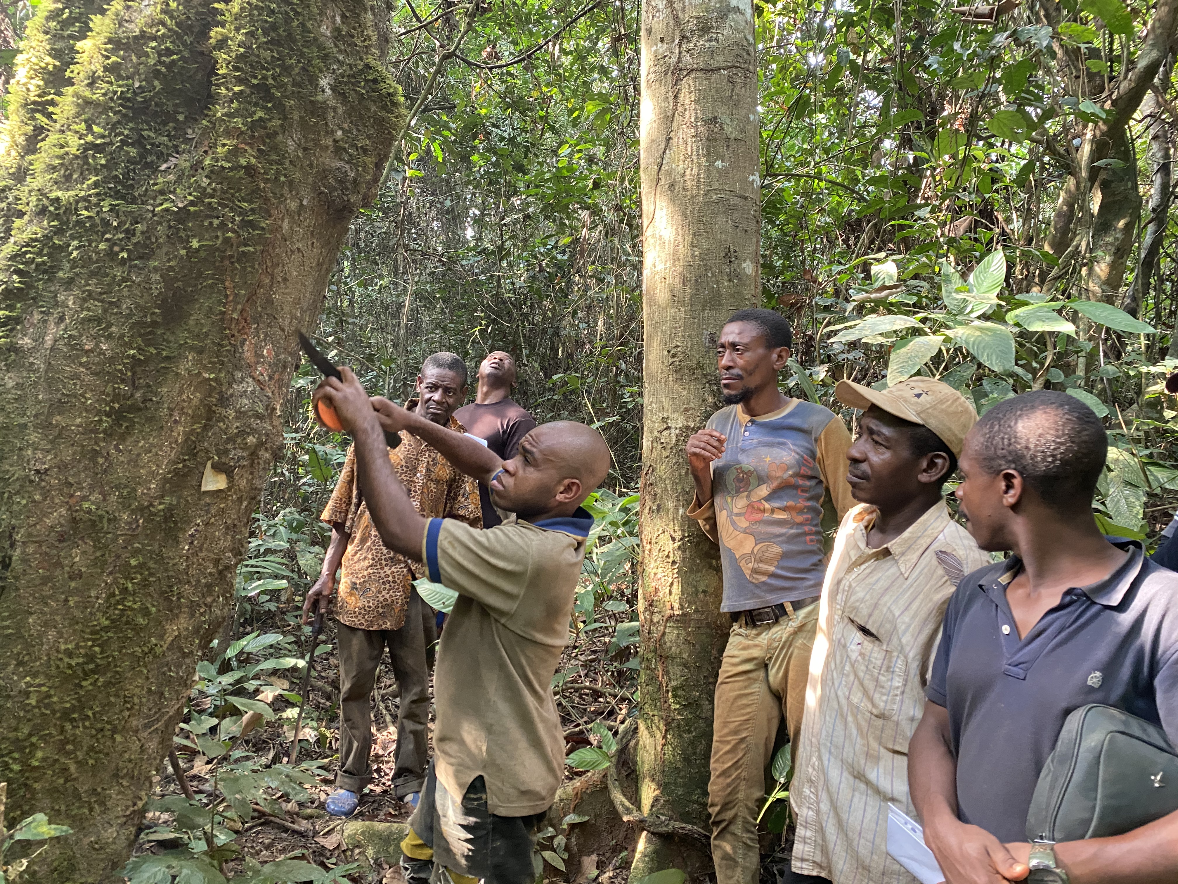 Travail de terrain avec les communautés locales dans les forêts du Dja